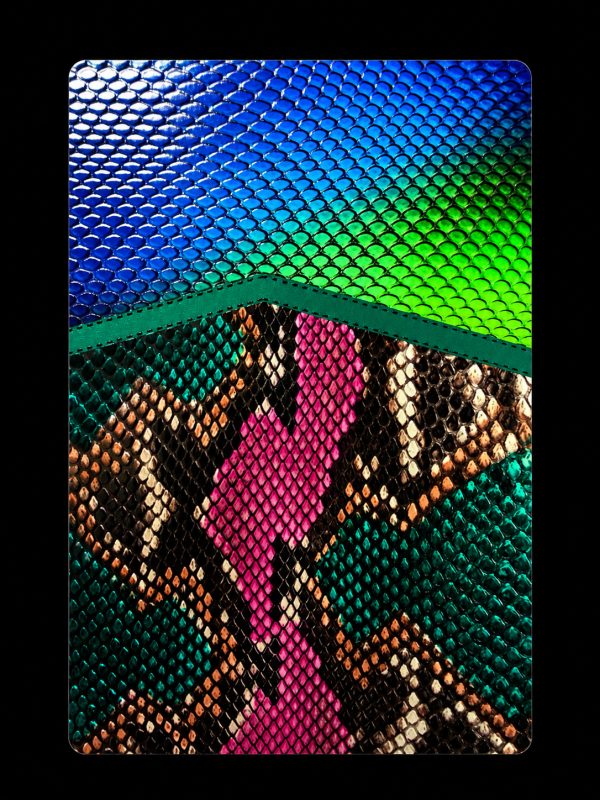 Design PSC-05 — thème peau de serpent et croco